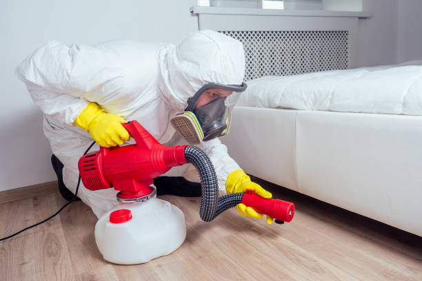 Best Mosquito Control Services  in Biggs, CA