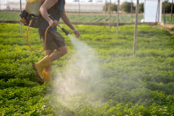 Best Pest Control Cost  in Biggs, CA